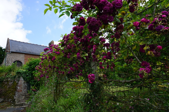 DSC01336
